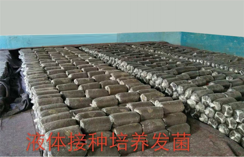 工程案例_53.jpg